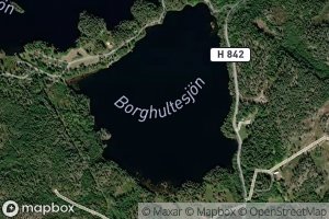 Borghultesjon