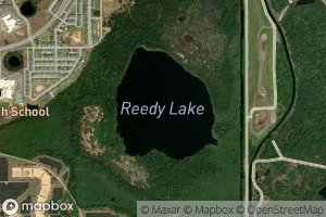 Reedy Lake