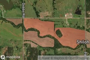 Bear Fall Coon Creek Site 6 Reservoir