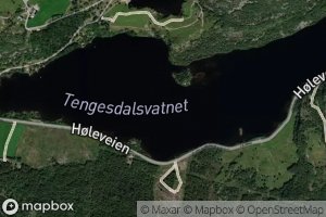 Tengesdalsvatnet