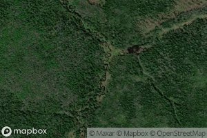 Bol'shaya Khobotnitsa