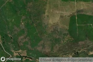 South Branch Shin Creek