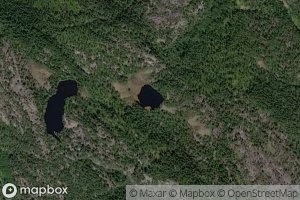 Lille Risasheitjenna