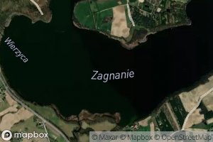 Zagnanie