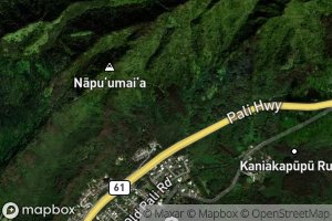 'Alewa Heights Springs