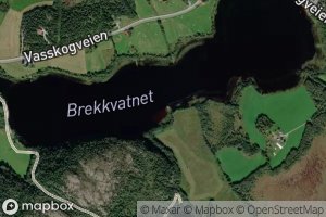 Brekkvatnet