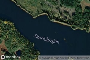 Skarhalssjon