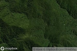 Te Tanae Rangiharakeke Stream