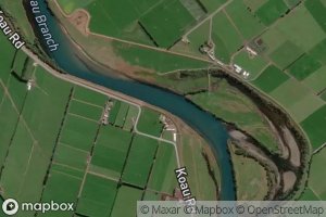 Clutha River/Koau Branch