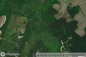 North Fork Blackwater Swamp