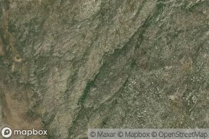 Canada Aguaje Las Viboras