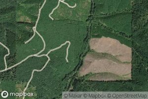 Health Spring Branch