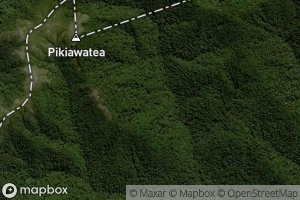 Pikiawatea Stream or Blue Duck Stream