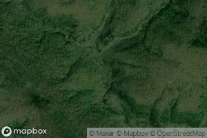 Middle Prong Sneeds Creek