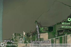 Little Pickerel Creek