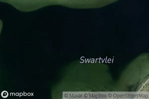 Swartvlei