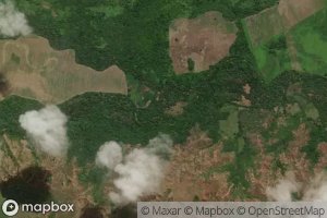 Morichal Cabecera de La Mata