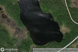 Lilla Habberstrasket