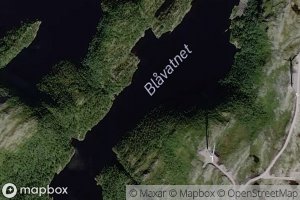 Blavatnet