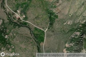 Jackass Larson Spring