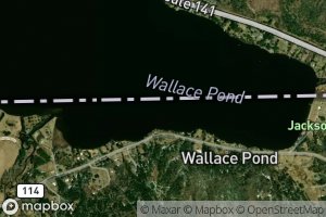 Wallace Pond