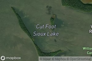 Cut Foot Sioux Lake