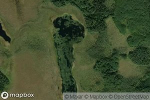 Ozero Bol'shoye Lebedinoye