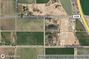 Dogwood Lateral Ten A