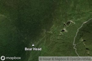 Bear Pond