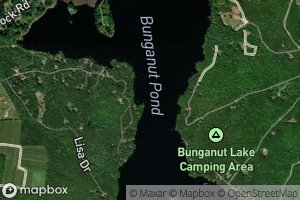 Bunganut Pond