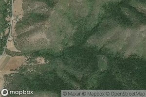 Left Fork Balls Branch