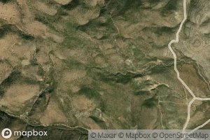 Little Willow Spring