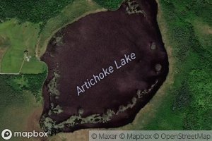Artichoke Lake