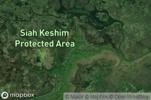 Rudkhaneh-ye Palang Var