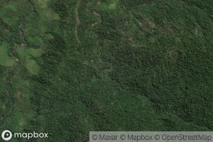 Royongan Sinonsayang