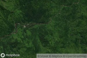 Blackberry Camp Stream