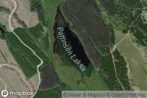 Pattinson Lake