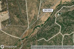 Ribeiro de Maria Pires