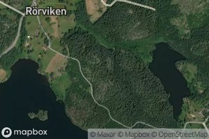 Rorviken