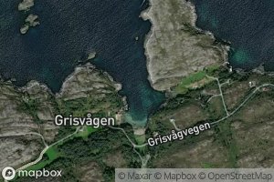 Grisvagbugen