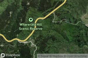 Wharekakaho Stream