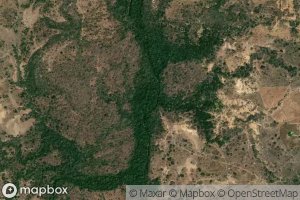 Quebrada Mi Morichito