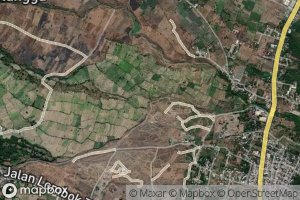 Kokok Tegurunggurung