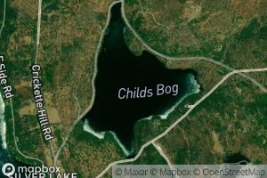 Childs Bog
