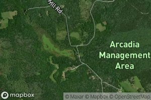 Mount Tom Club Wildlife Marsh