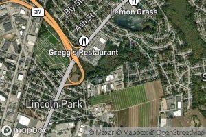 Duck Pond (historical)