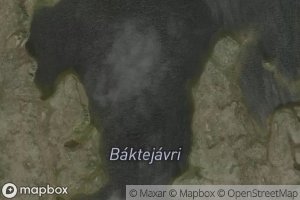 Baktejavri