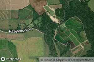 Blaise Lejuene Gully