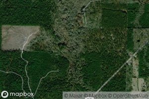 Jay Dison Spring Branch