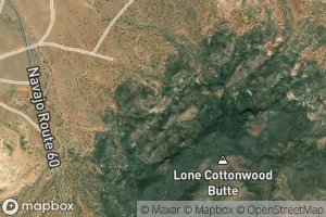 Lone Cottonwood Spring